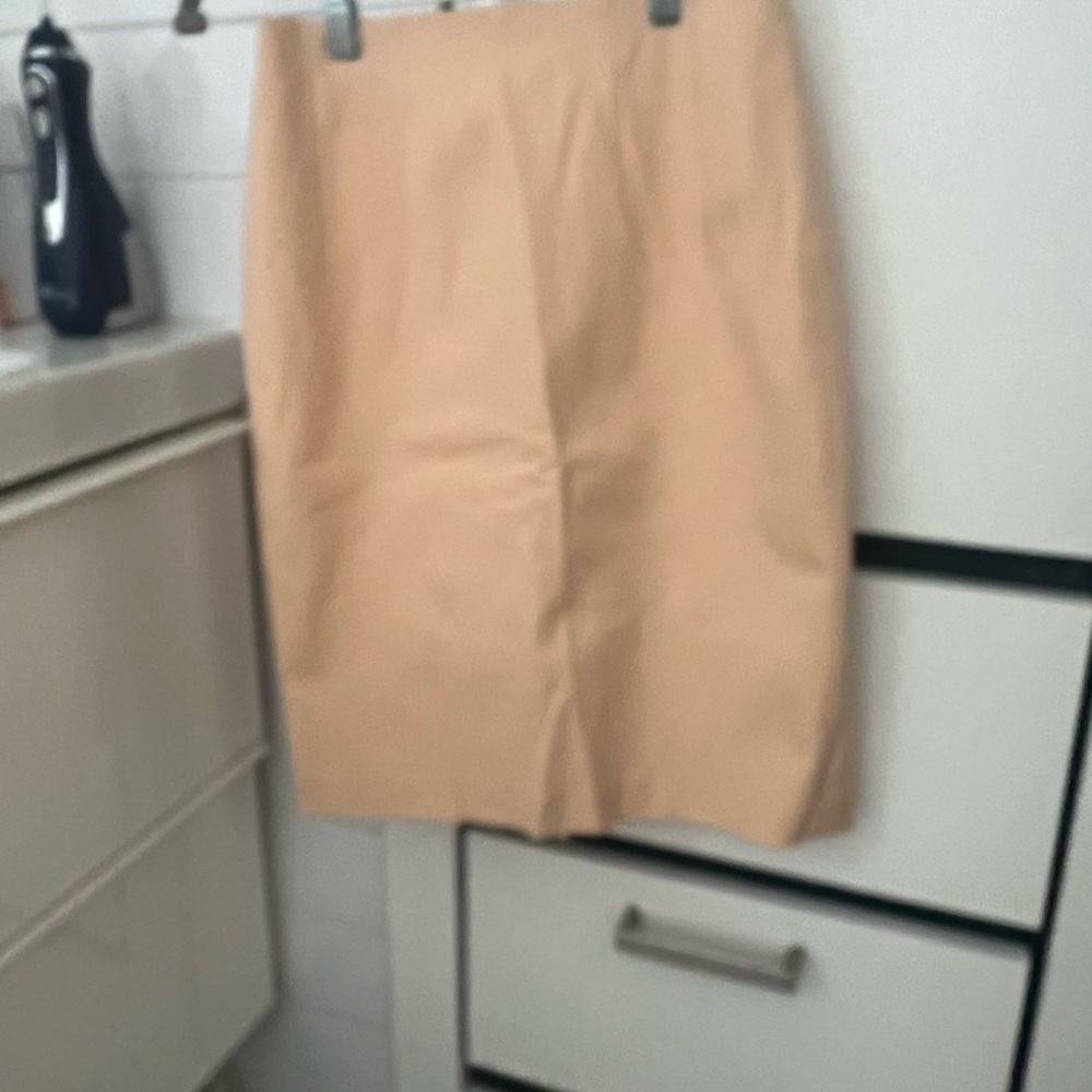 Club Monaco blush pink pencil skirt